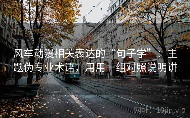 风车动漫相关表达的“句子学”：主题伪专业术语，用用一组对照说明讲
